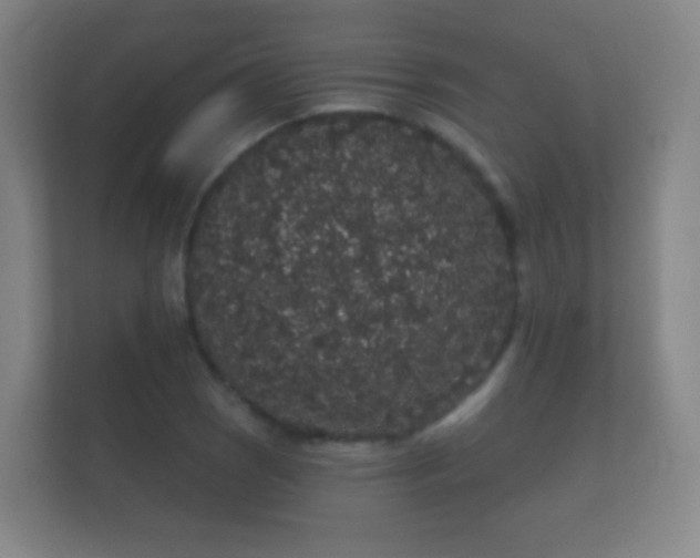 X0000112161121200908141229