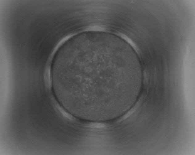 X0000112161123200908141229