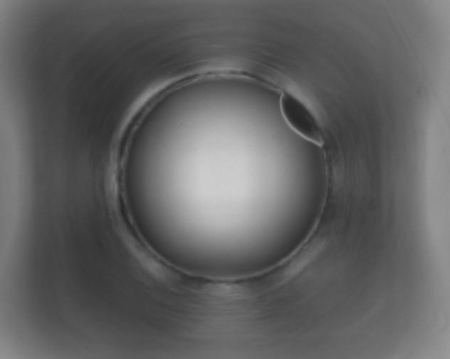X0000112161124200908141229