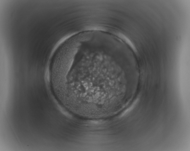 X0000112161125200908141229