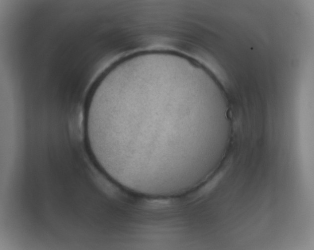 X0000112161126200908141229