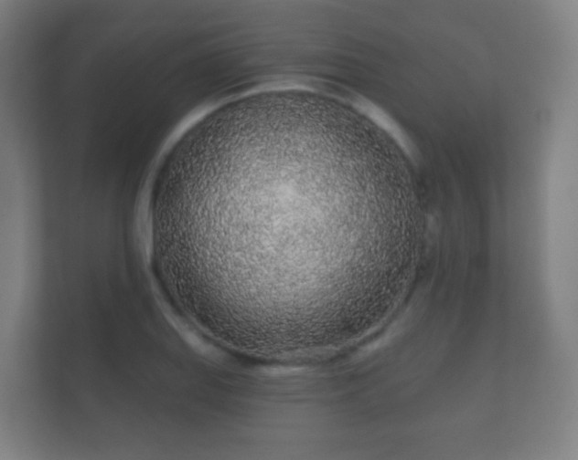X0000112161127200908141229