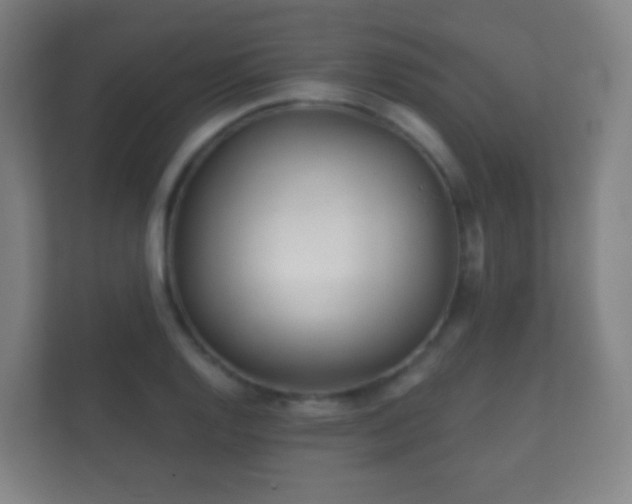 X0000112161128200908141229