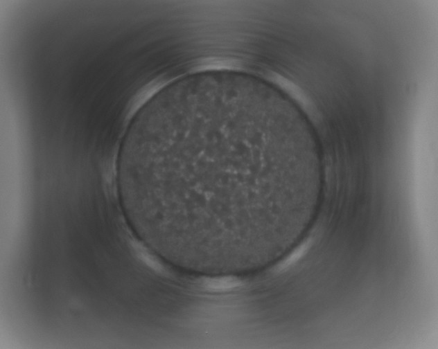 X0000112161129200908141229