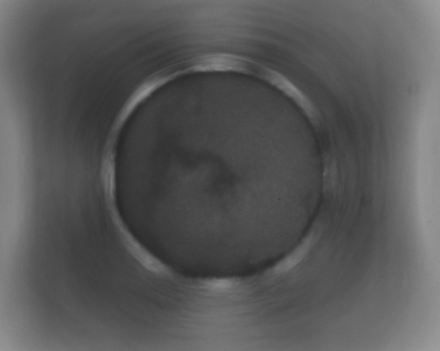 X0000112161130200908141229