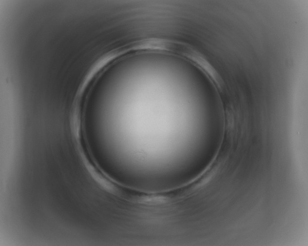 X0000112161131200908141229