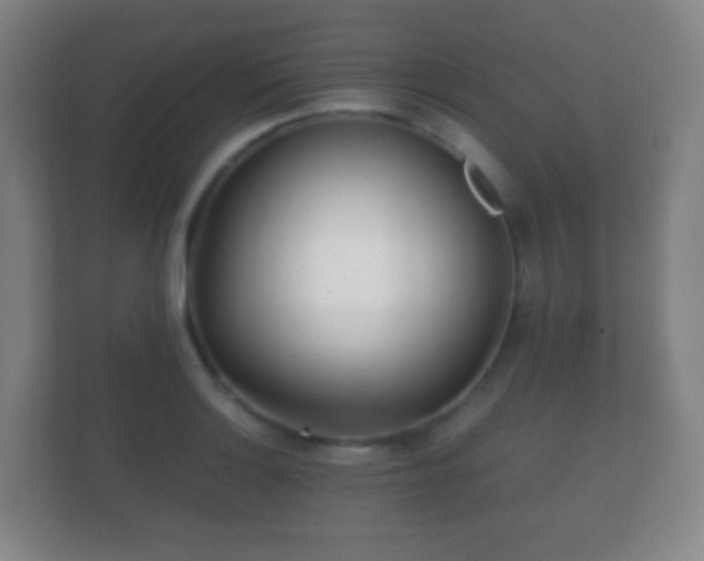 X0000112161132200908141229