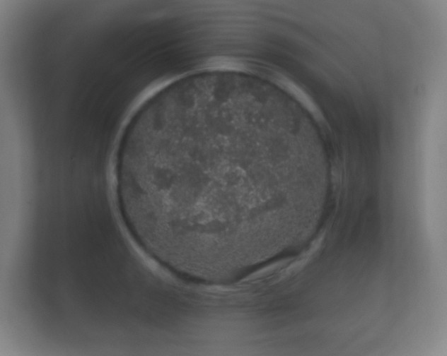 X0000112161133200908141229