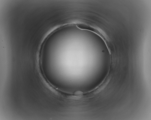 X0000112161134200908141229