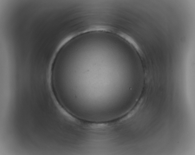 X0000112161135200908141229
