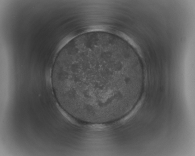 X0000112161137200908141229