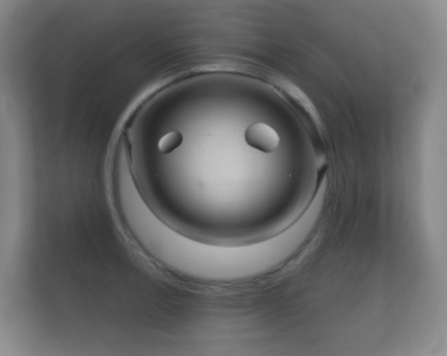 X0000112161138200908141229