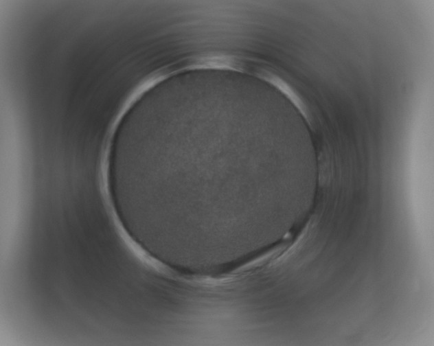 X0000112161139200908141229