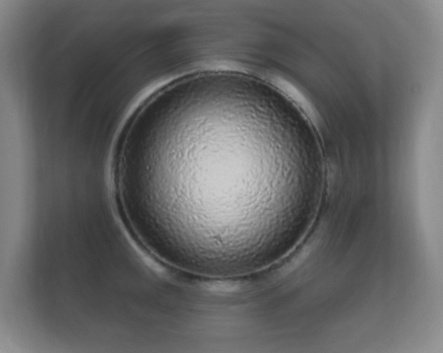 X0000112161141200908141229