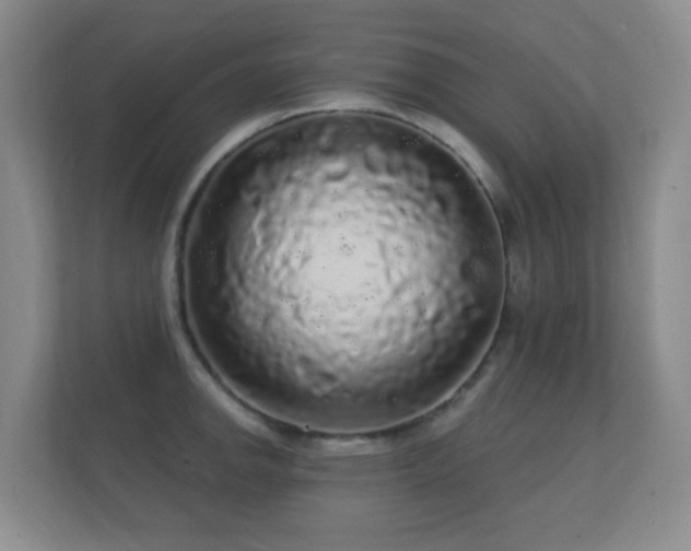 X0000112161142200908141229
