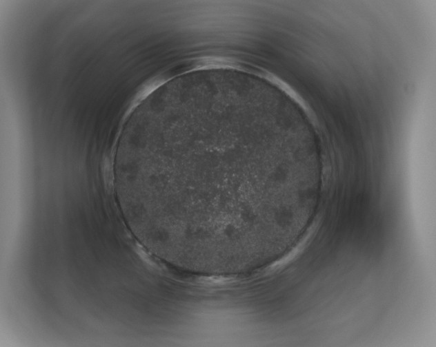 X0000112161145200908141229