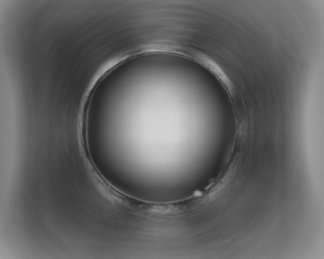 X0000112161146200908141229