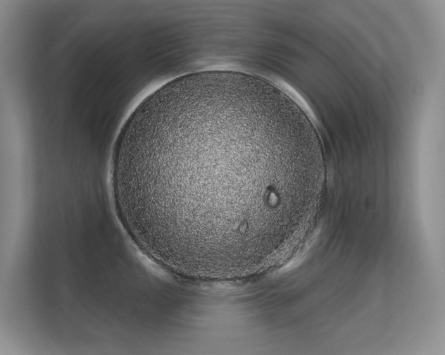 X0000112161149200908141229