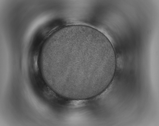 X0000112161150200908141229