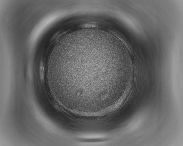 X0000112161151200908141229