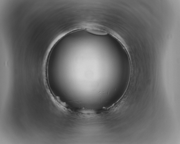 X0000112161152200908141229