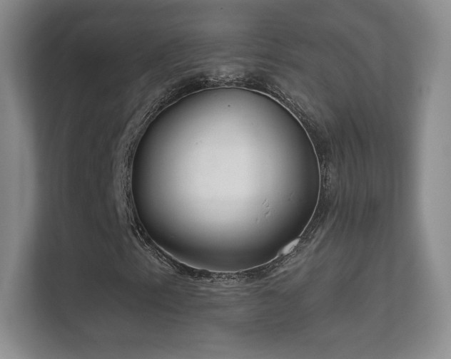 X0000112161153200908141229