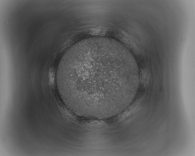 X0000112161154200908141229
