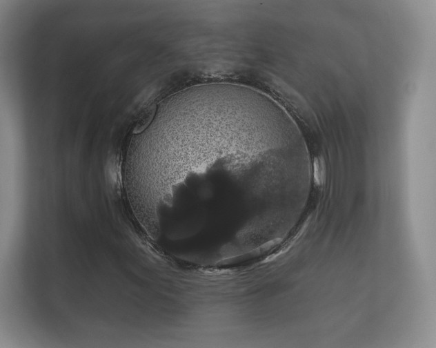 X0000112161155200908141229