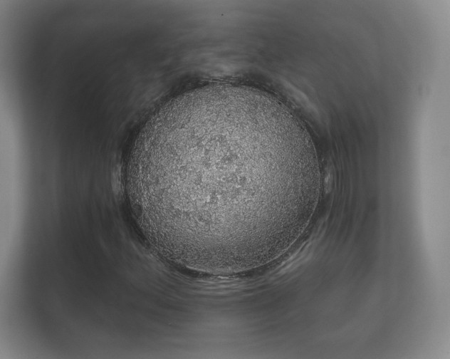 X0000112161156200908141229