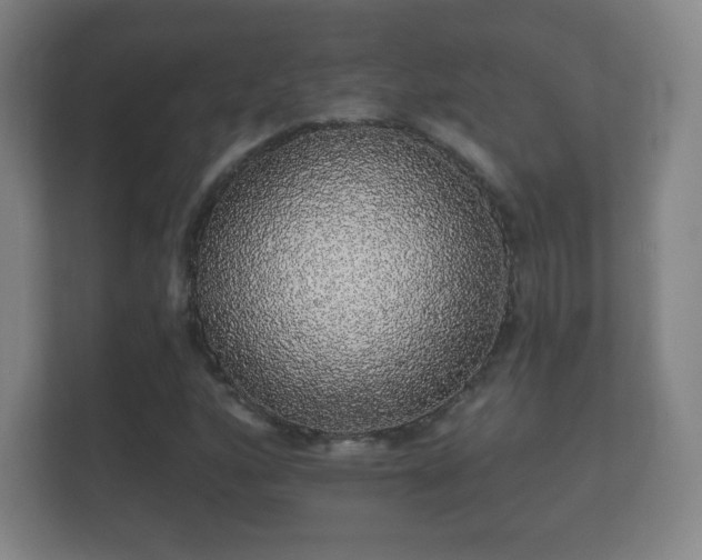 X0000112161160200908141229
