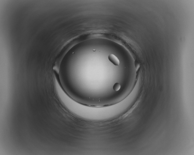X0000112161161200908141229
