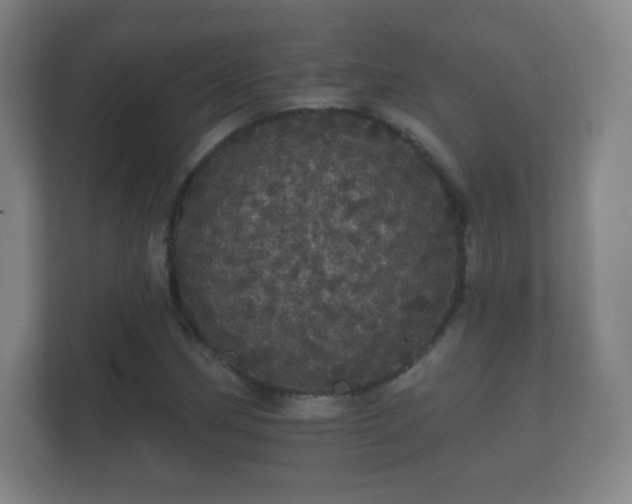 X0000112161162200908141229
