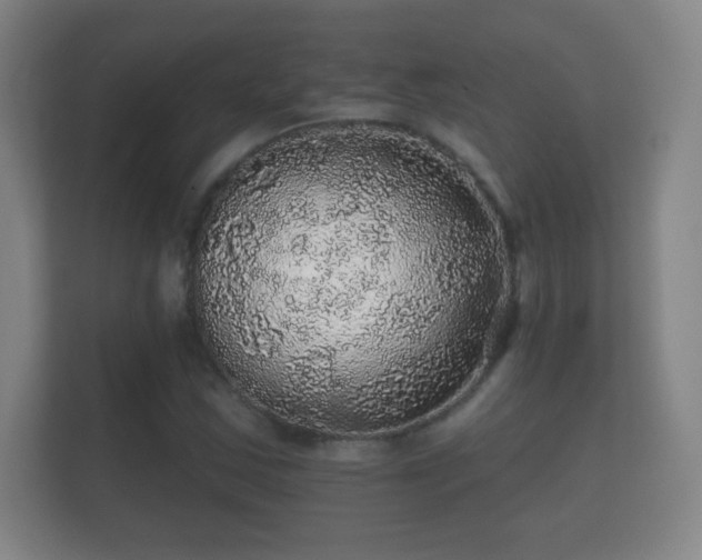 X0000112161163200908141229