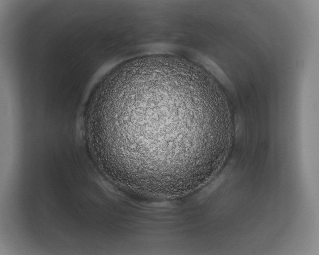 X0000112161164200908141229