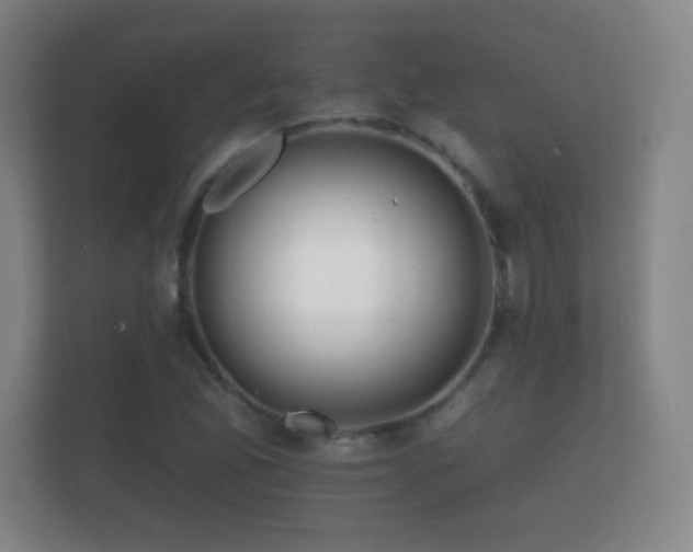 X0000112161165200908141229