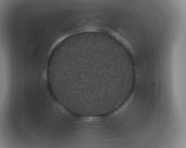 X0000112161166200908141229
