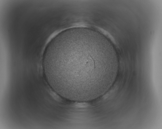 X0000112161168200908141228
