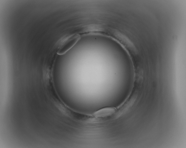 X0000112161169200908141228