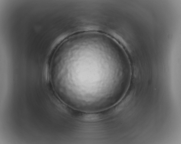 X0000112161171200908141228