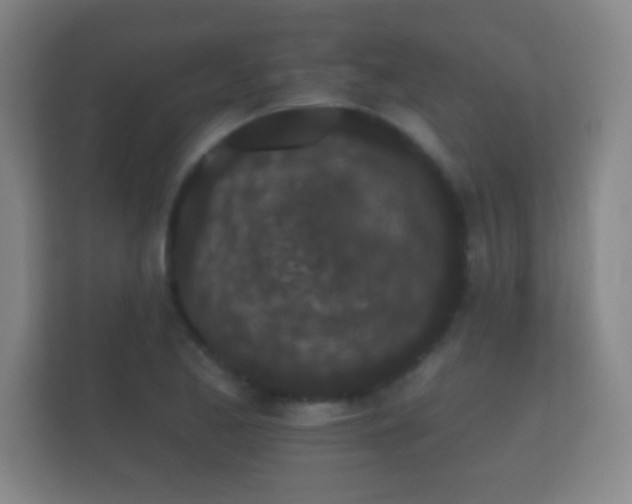 X0000112161173200908141228