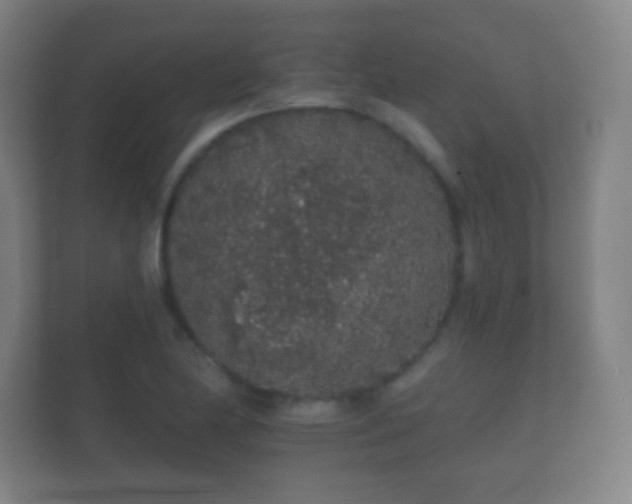 X0000112161174200908141228