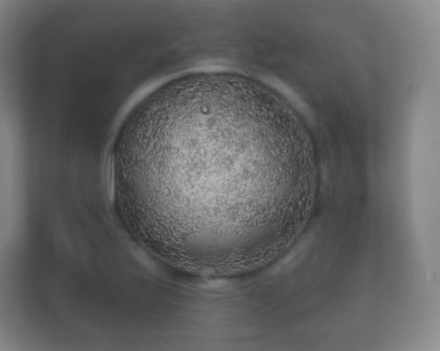 X0000112161175200908141228