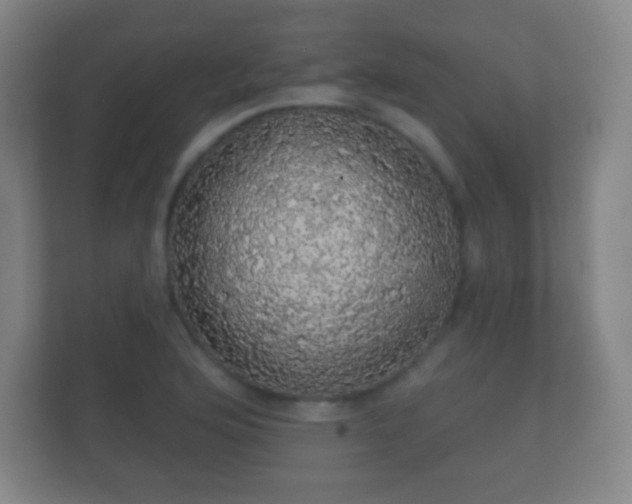 X0000112161176200908141228
