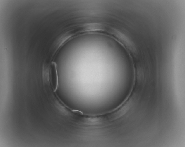 X0000112161177200908141228