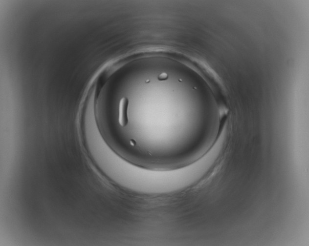 X0000112161181200908141228