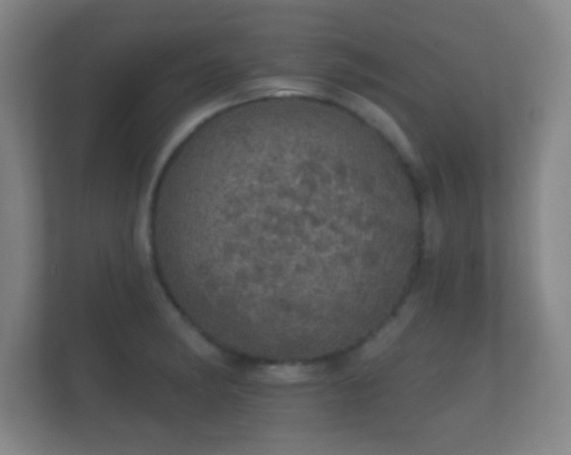 X0000112161182200908141228