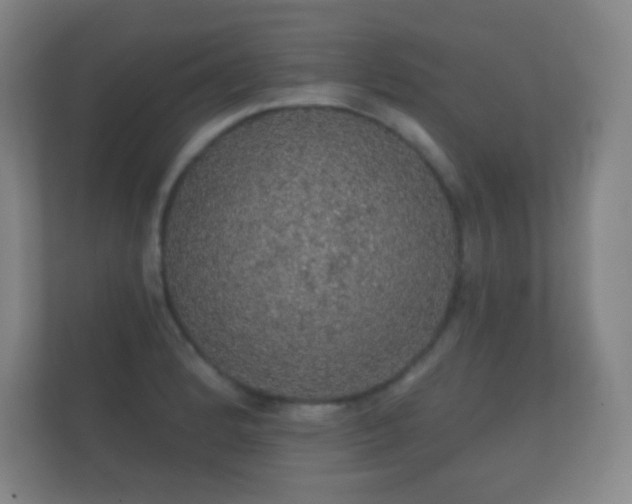 X0000112161184200908141228
