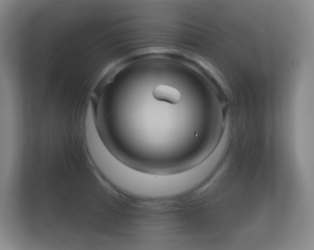 X0000112161185200908141228