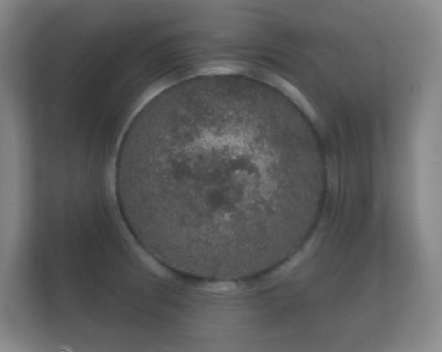 X0000112161186200908141228