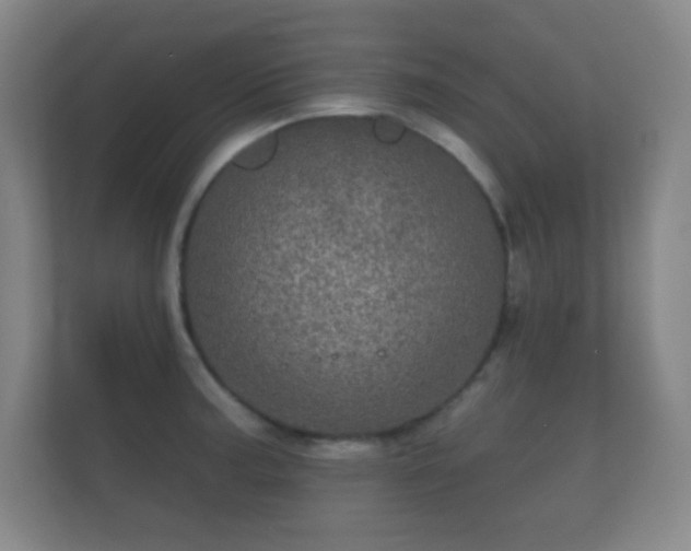 X0000112161187200908141228